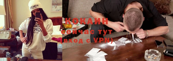 прущие крисы Бородино