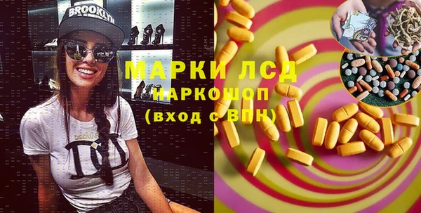 прущие крисы Бородино