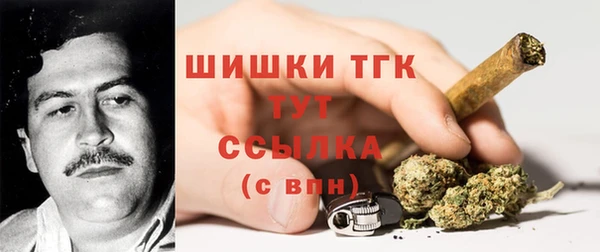 прущие крисы Бородино