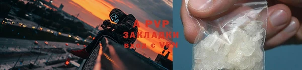 прущие крисы Бородино
