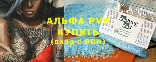 прущие крисы Бородино