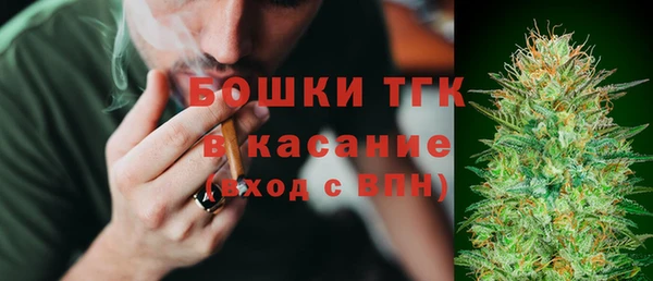 прущие крисы Бородино