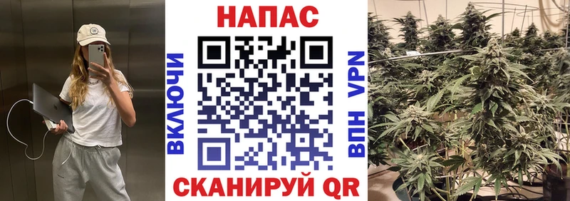 Купить закладки  Бугуруслан  Конопля семена 